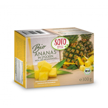 TK Ananas Stücke