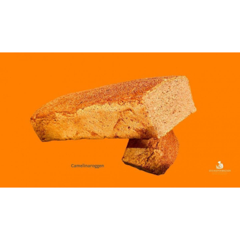 Camelina-Roggenmischbrot