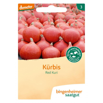 Saat Hokkaidokürbis Red Kuri