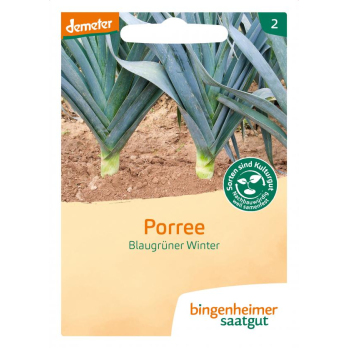 Saat Porree" Avano"