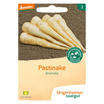 Saat Pastinake "Aromata"