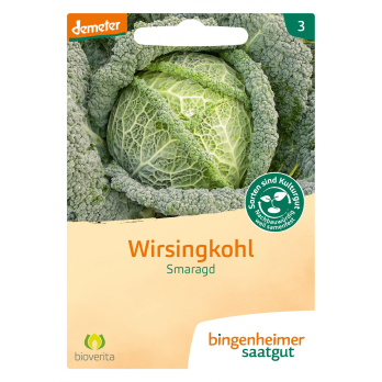 Saat Wirsingkohl "Smaragd"