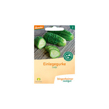 Saat Einlegegurke "Liefje"