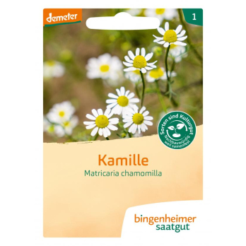 Saat Kamille