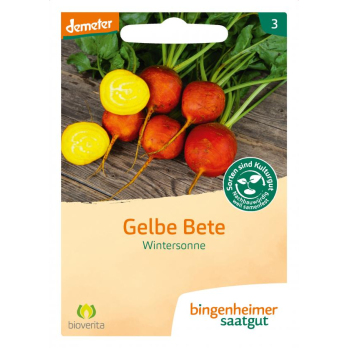 Saat Gelbe Bete "Wintersonne"