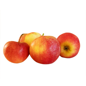 Apfel "Adventsapfel"