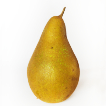 Birne "Uta"