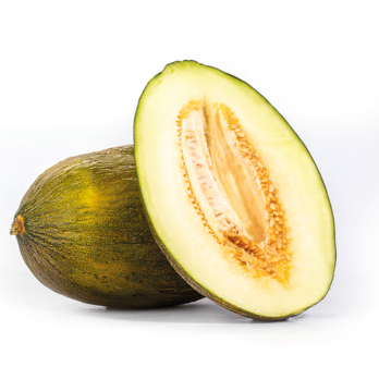 Honigmelone "Piel de Sapo"
