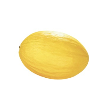 Honigmelone "Gialetto"