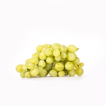 Traube weiß "Muscat"