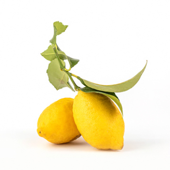 Zitrone "Rocca Imperiale"