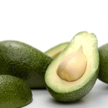 Avocado "Fuerte" (Kiloware)