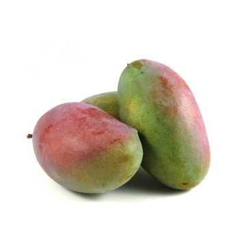 Mango "Osteen"