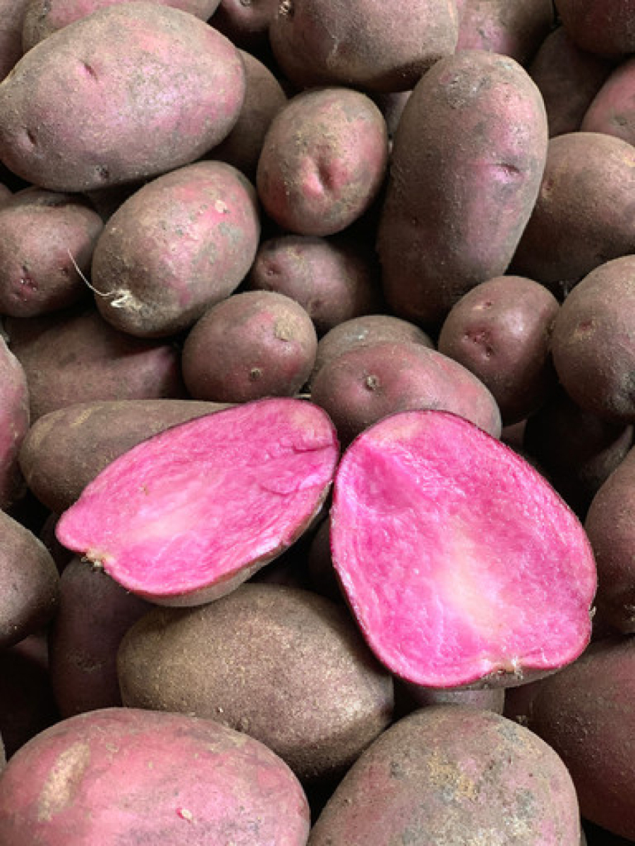 Kartoffeln "Heiderot"