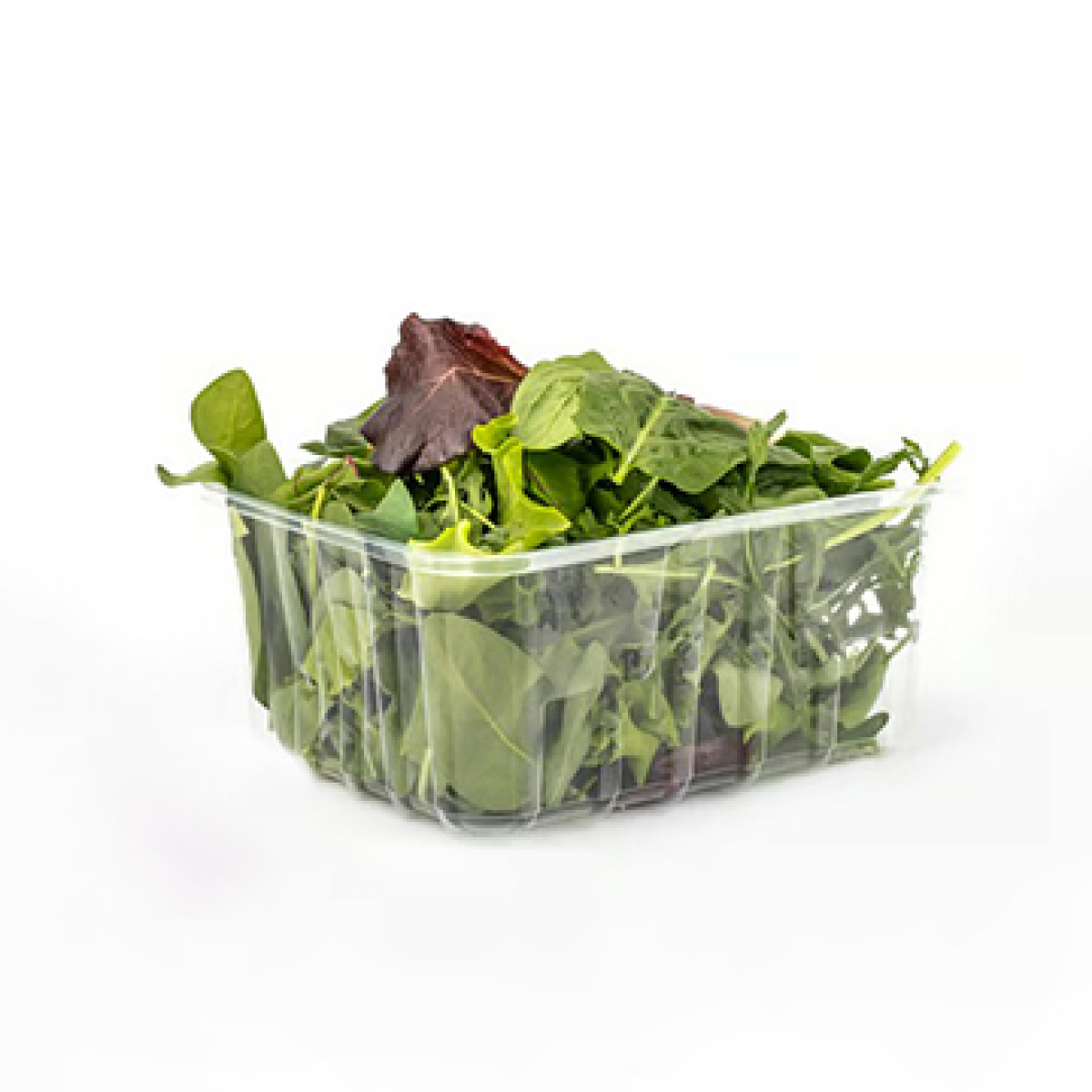 Salat-Grand-Mix, Schale