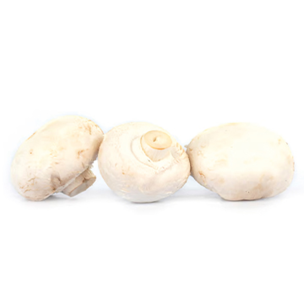 Champignons, weiß