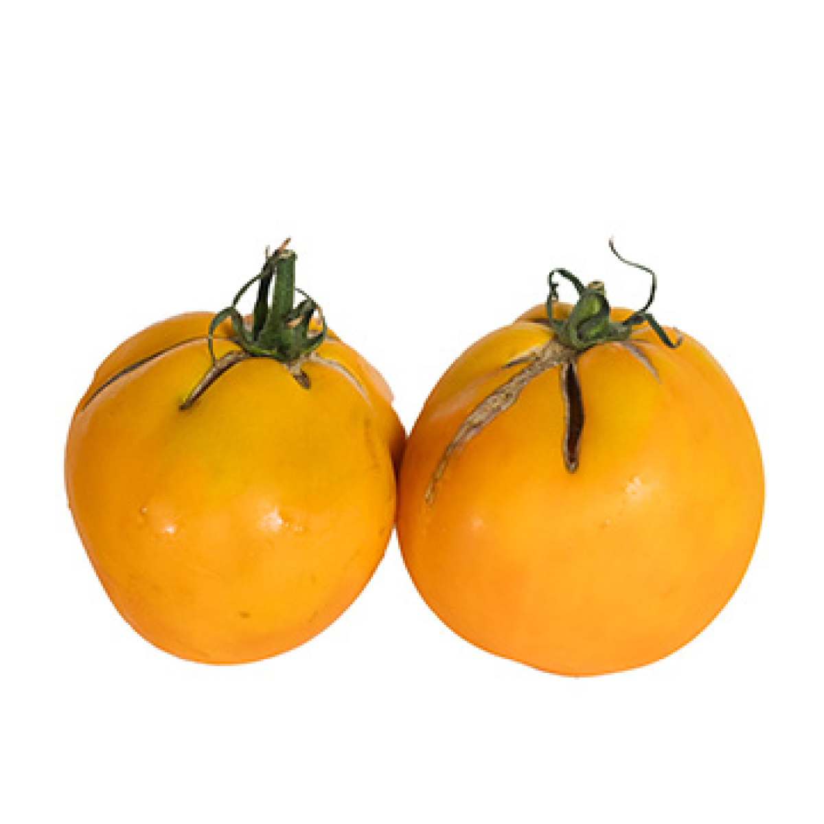 Fleischtomate gelb