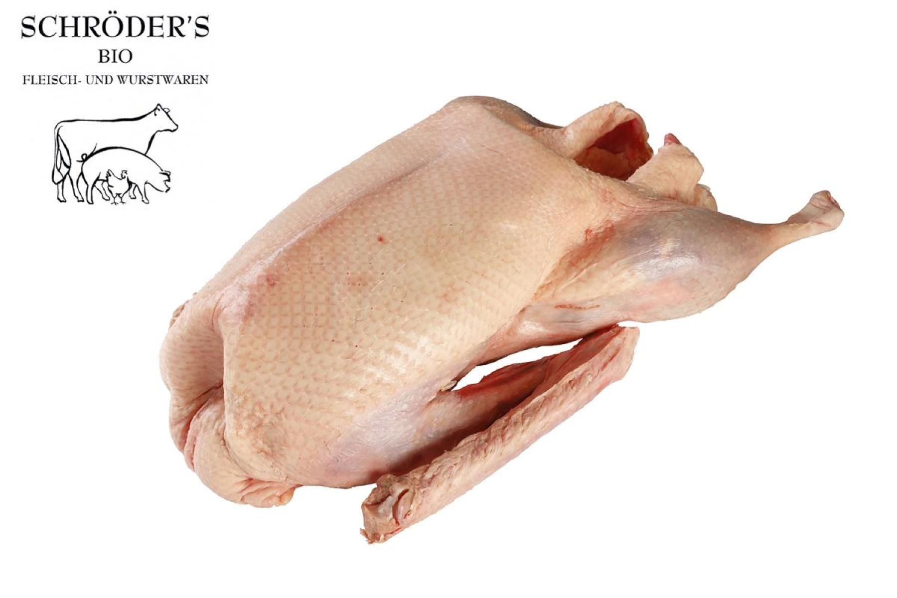 Gans (ca. 5-6 kg)