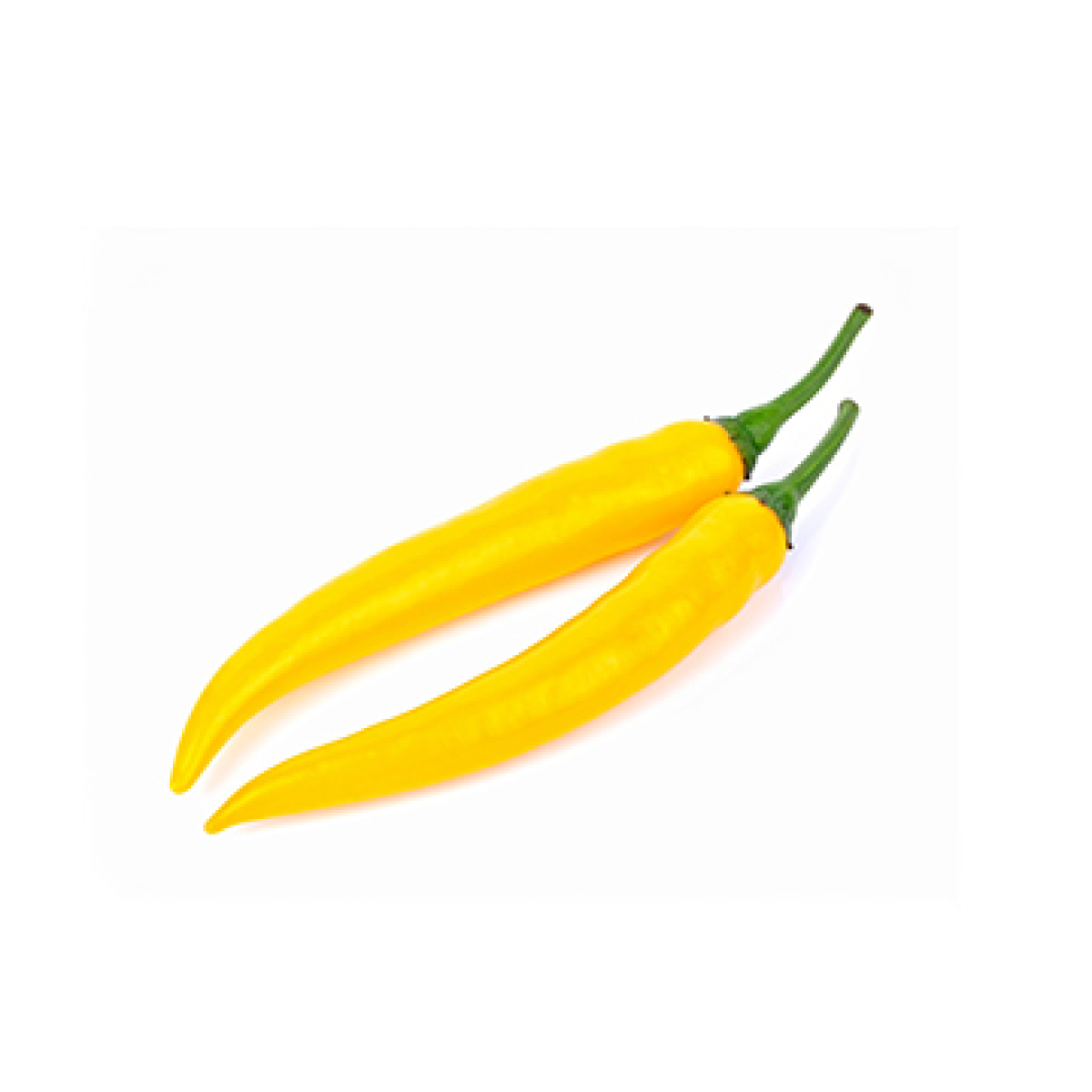 Chili gelb frisch