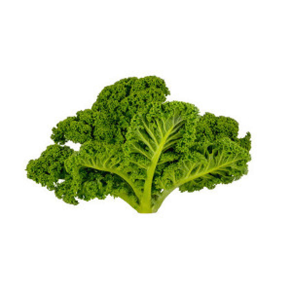 Grünkohl