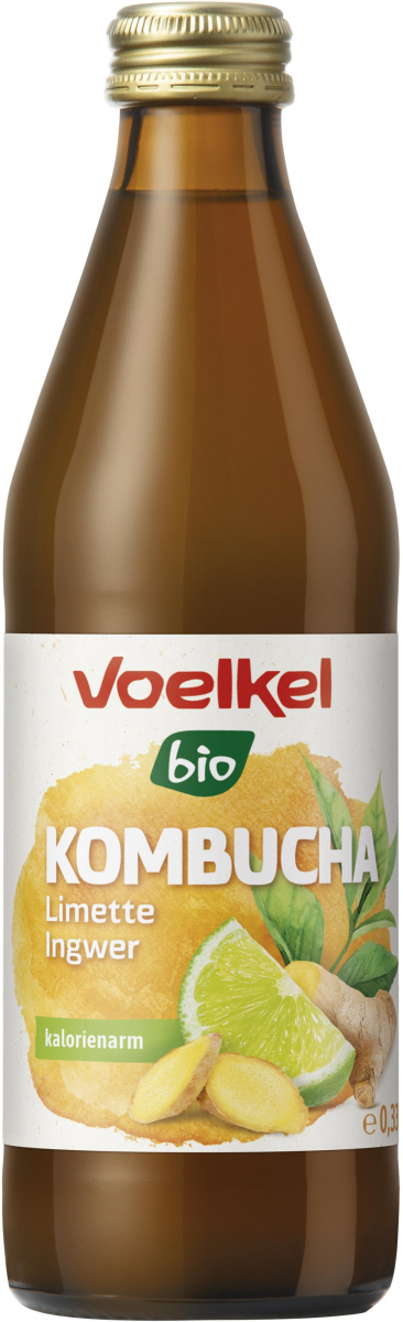 Kombucha Limette Ingwer