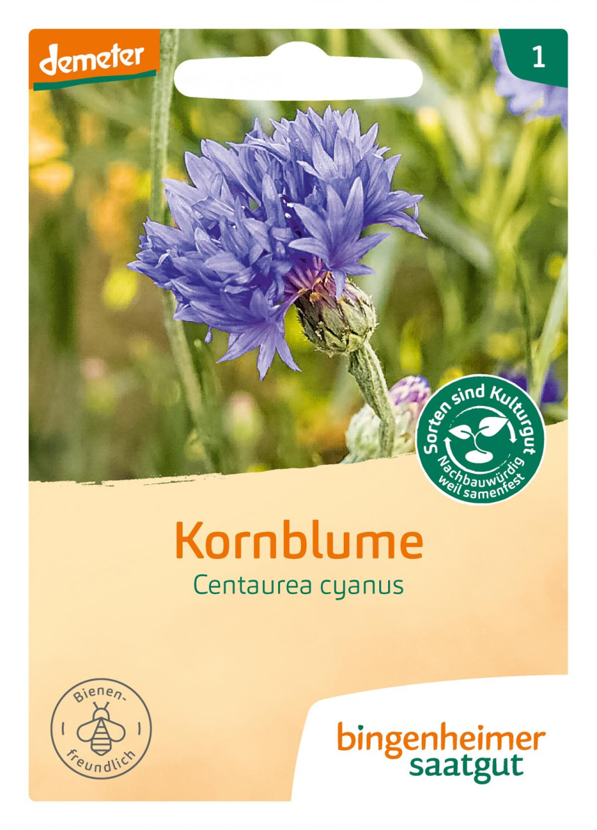 Saat Kornblume