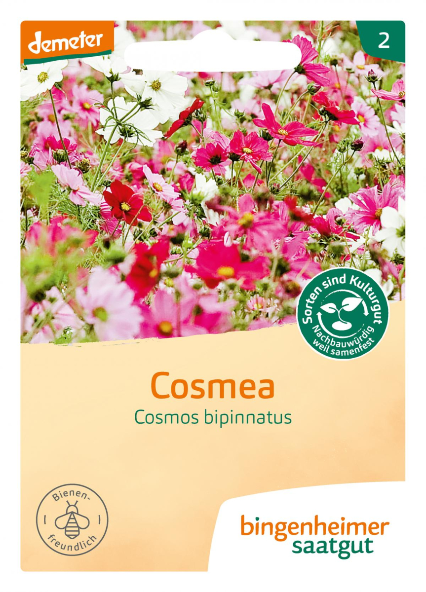 Saat Cosmea