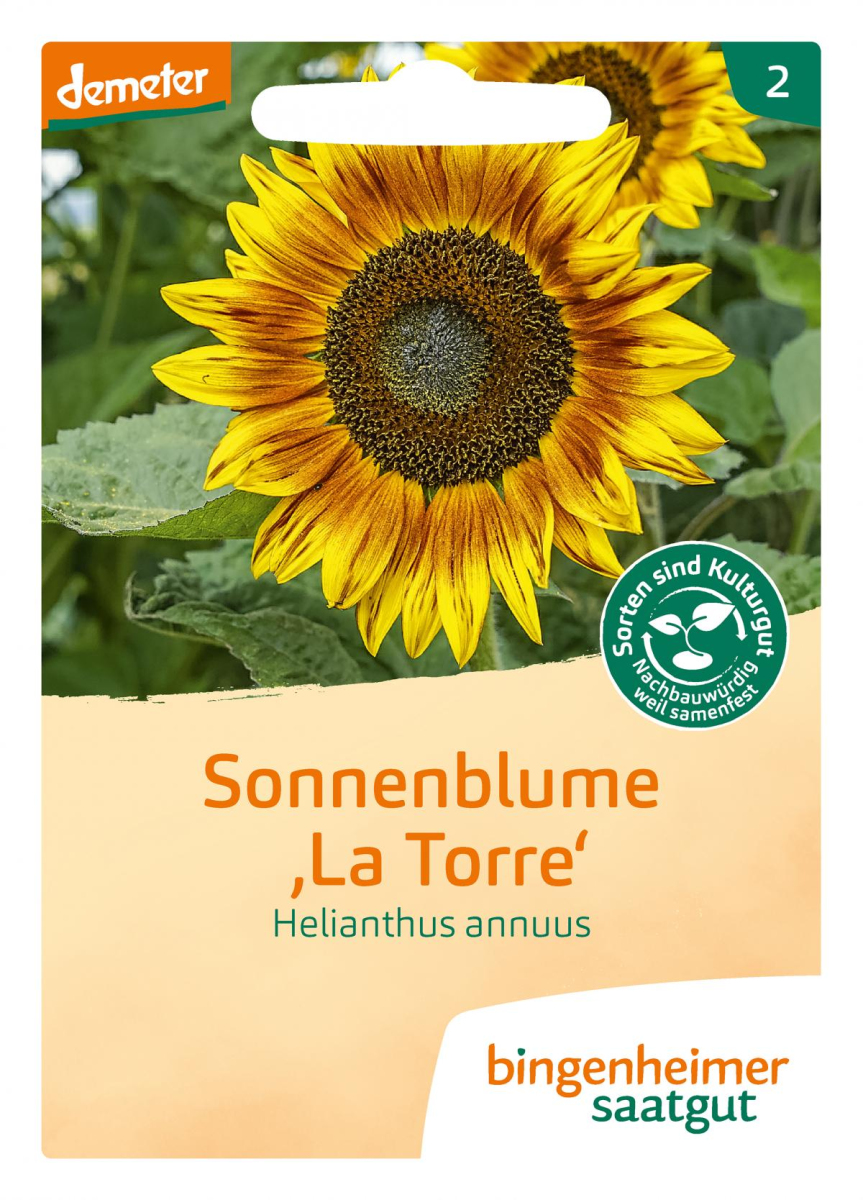 Saat Sonnenblume "La Torre"