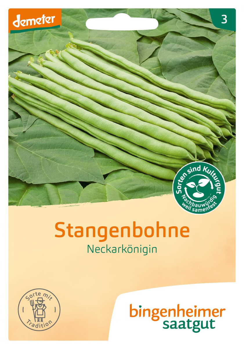 Saat Stangenbohne "Neckarkönigin"
