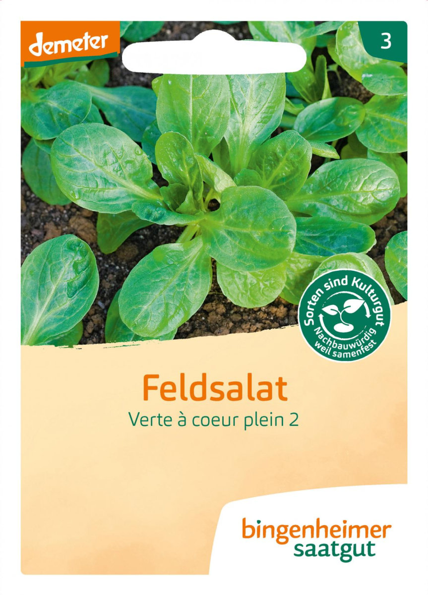 Saat Feldsalat "Verte à coeur plein"
