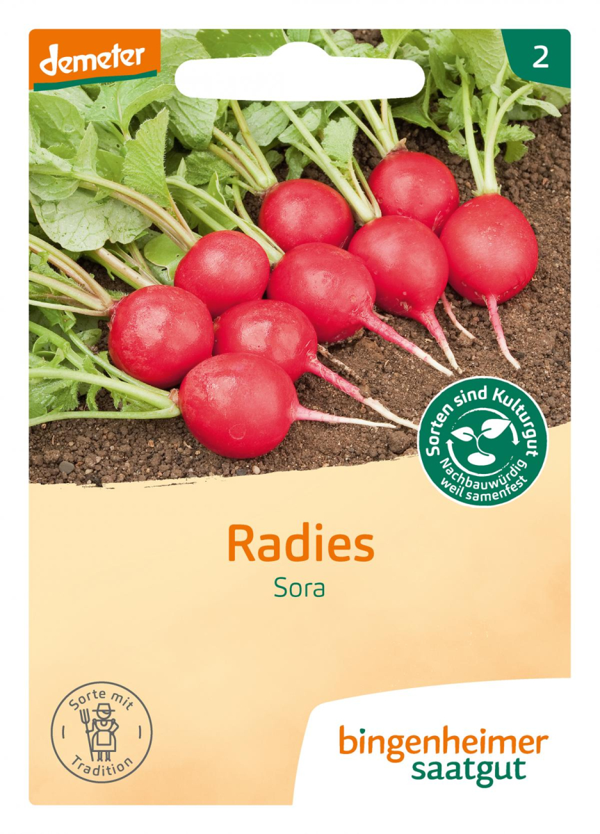 Saat Radieschen "Sora"