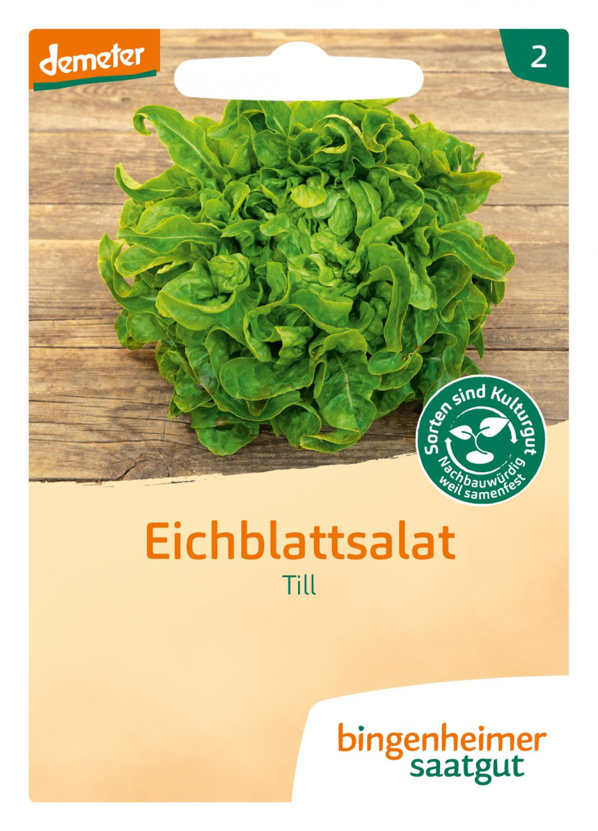 Saat Eichblattsalat "Till"