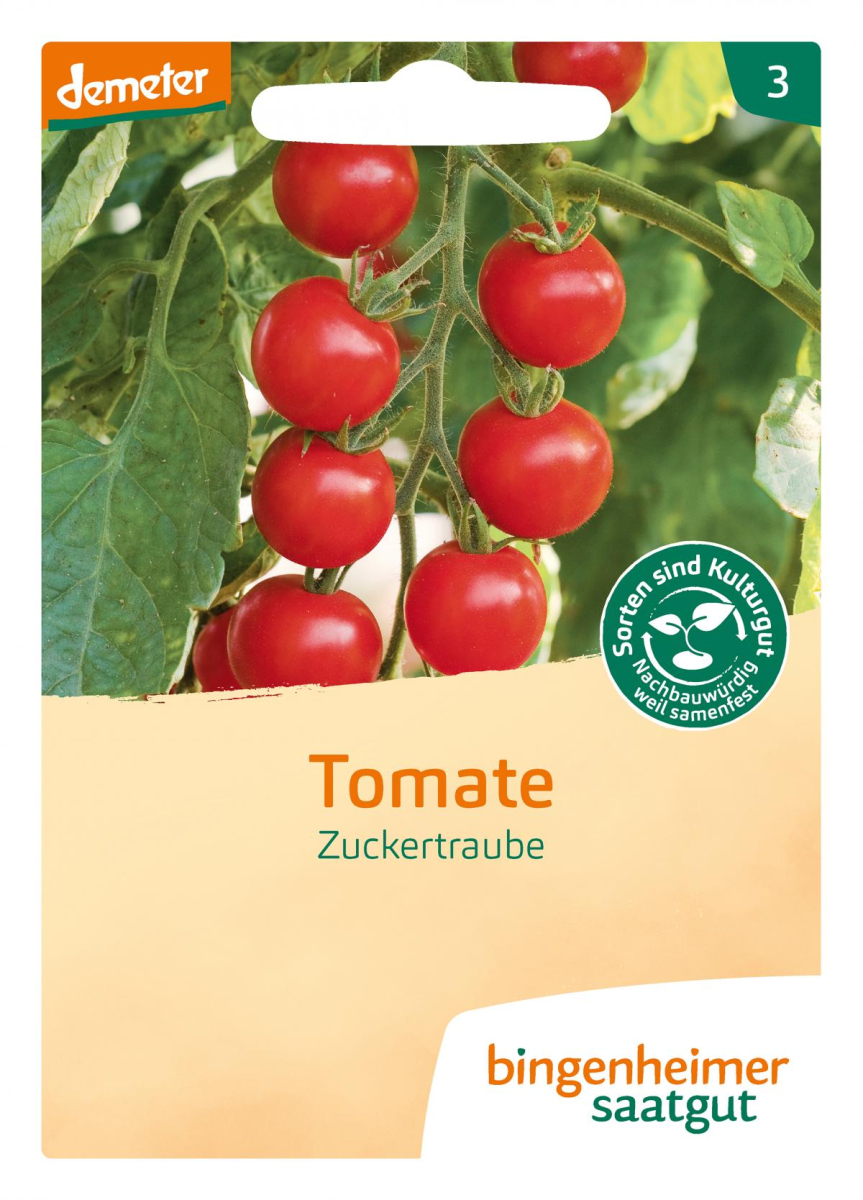 Saat Tomate "Zuckertraube"