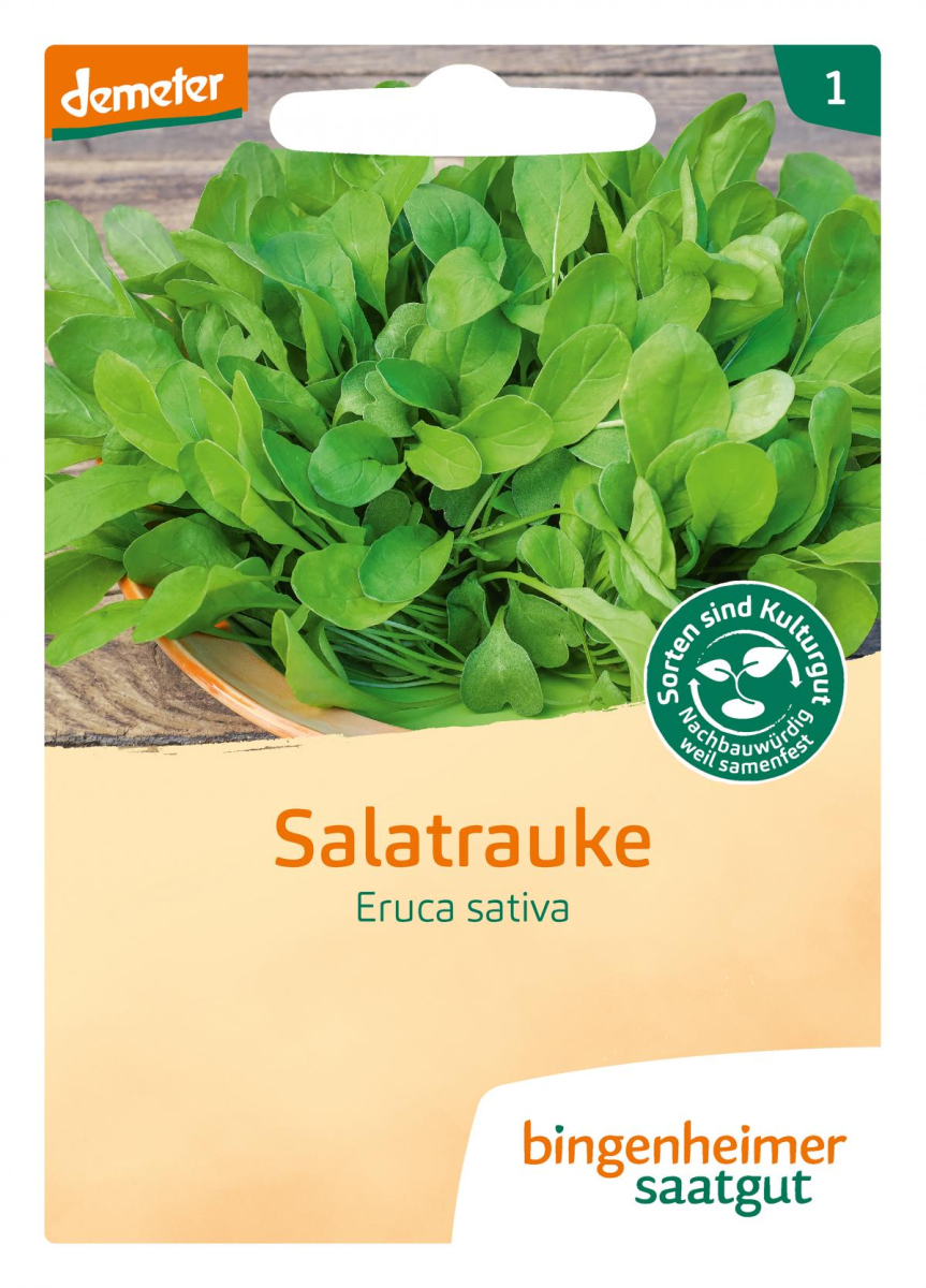 Saat Rucola Salatrauke