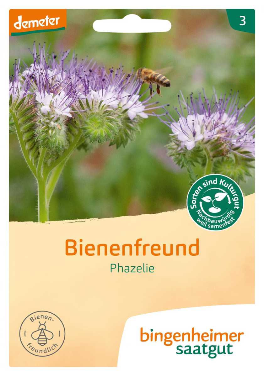 Saat Bienenfreund Phazelie
