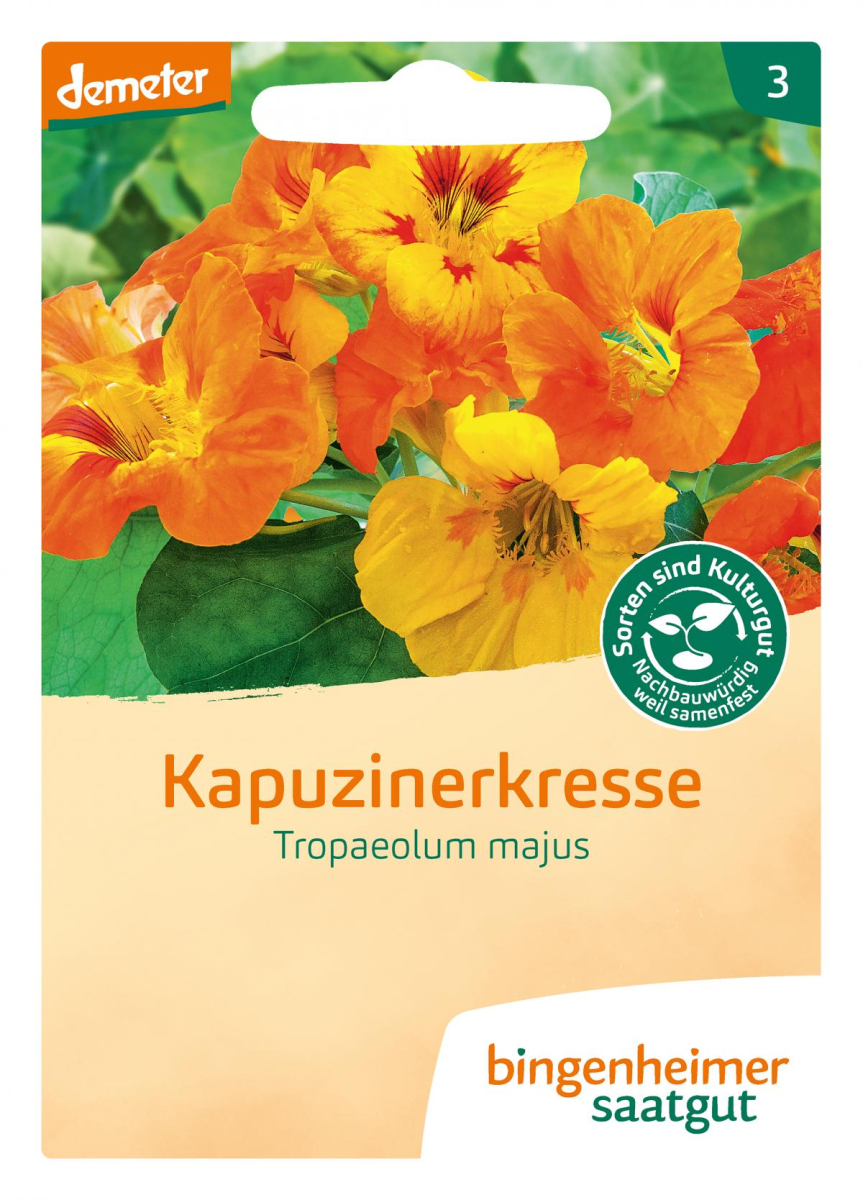 Saat Kapuzinerkresse