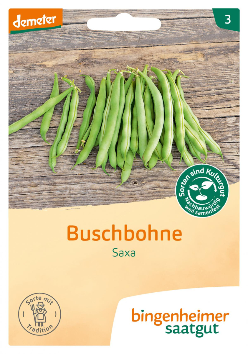 Saat Buschbohne "Saxa " grün