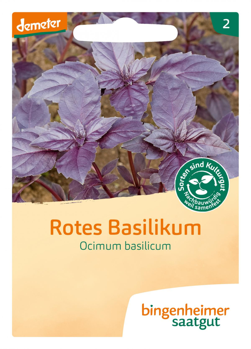 Saat Basilikum rot