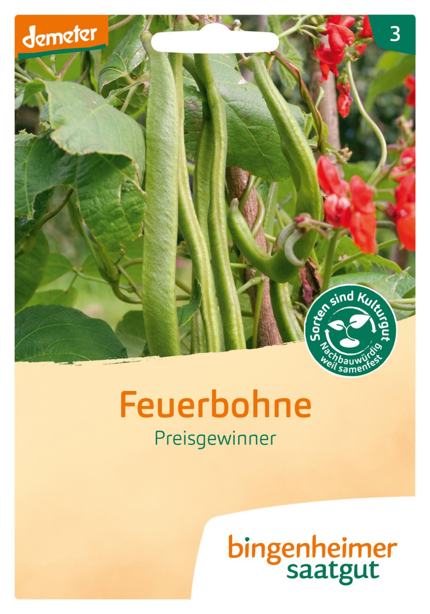 Saat Feuerbohne Preisgewinner