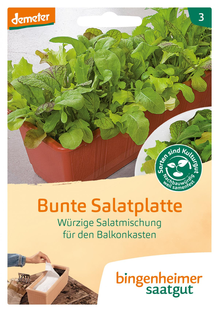Saat Bunte Salatplatte