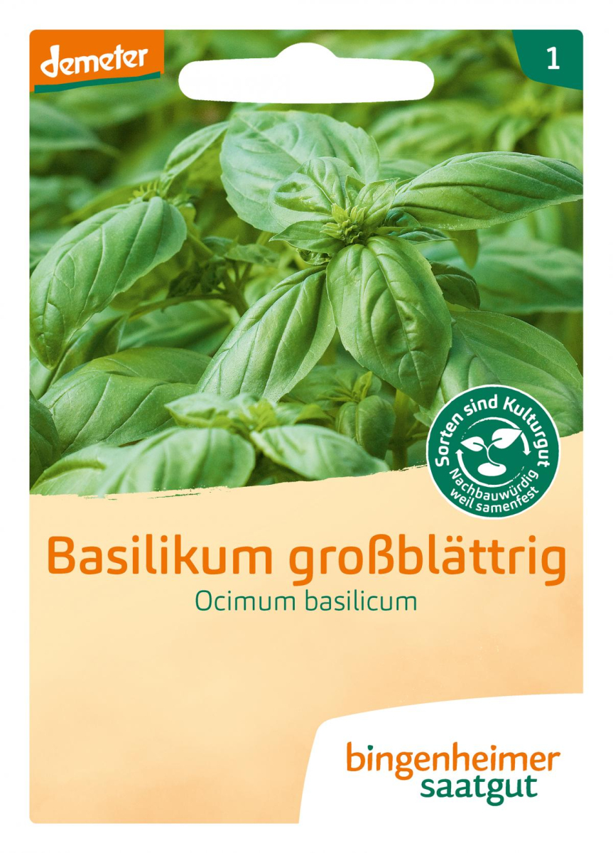 Saat Basilikum großblättrig