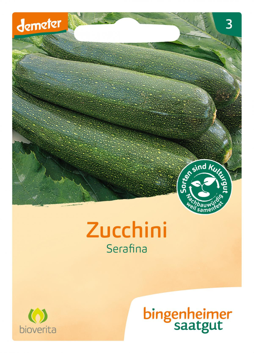 Saat Zucchini "Serafina"