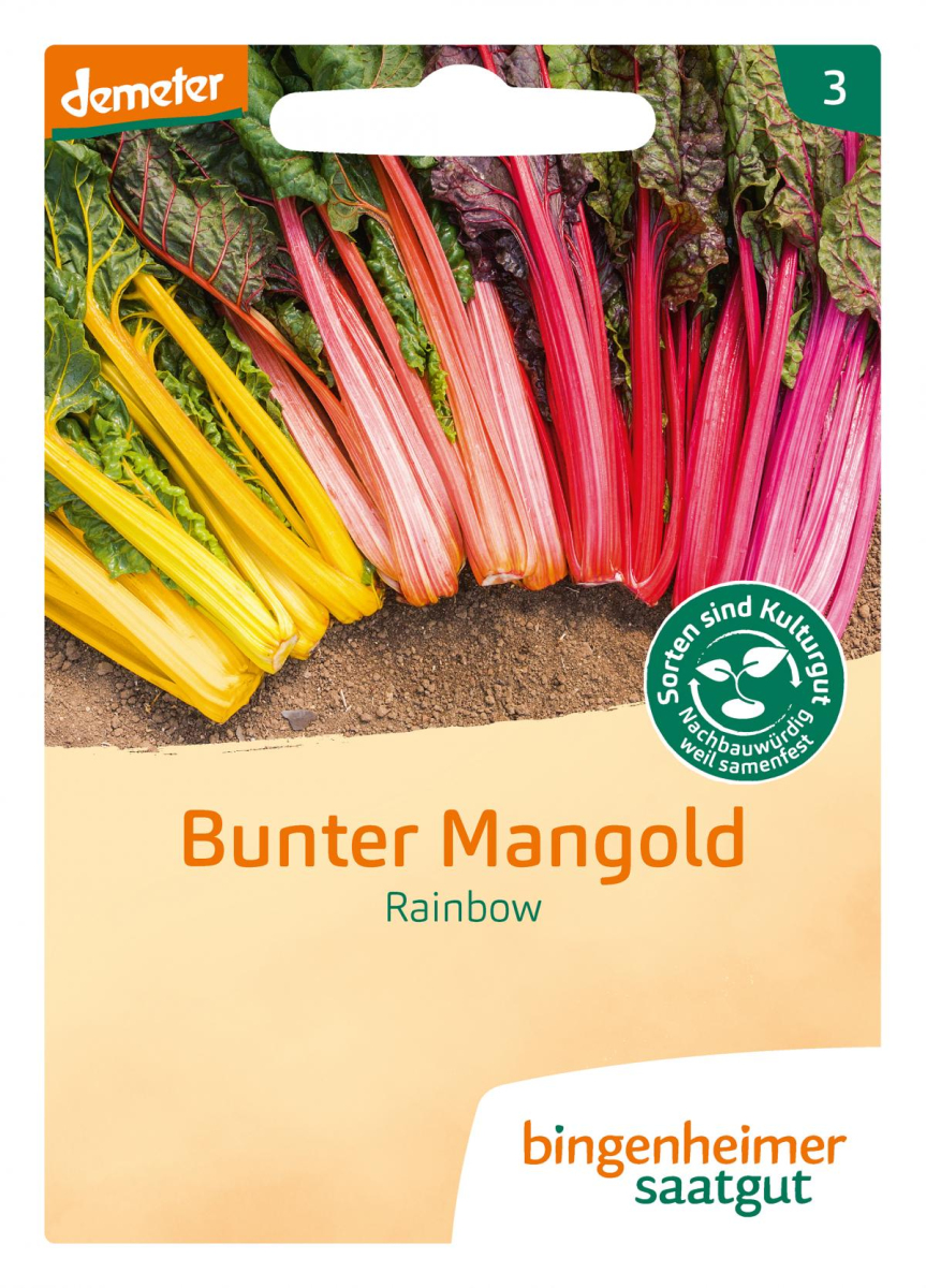 Saat Mangold "Rainbow"