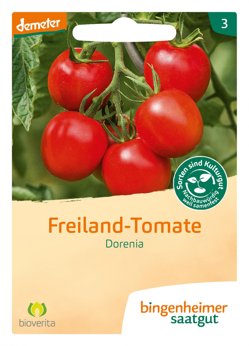 Saat Tomate "Dorenia" (Freilandtomate)
