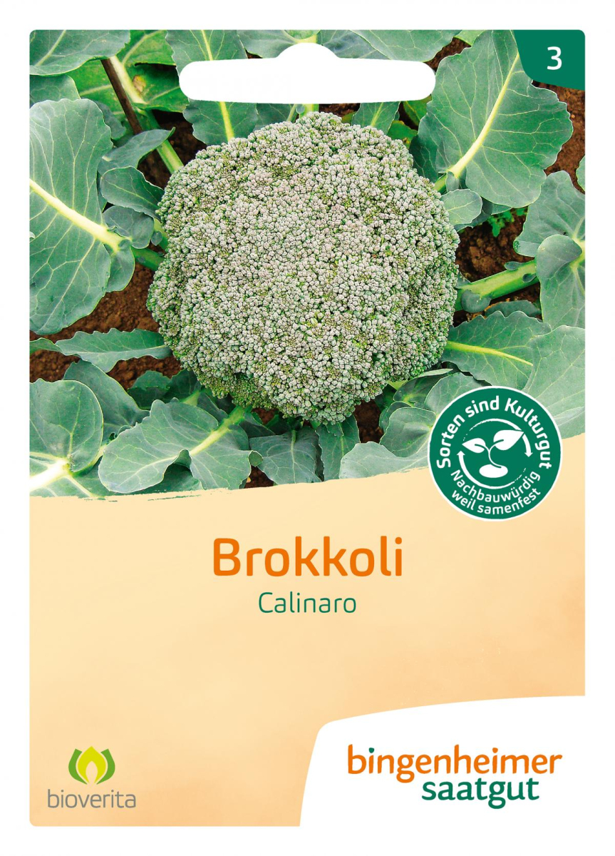 Saat Brokkoli "Calinaro"