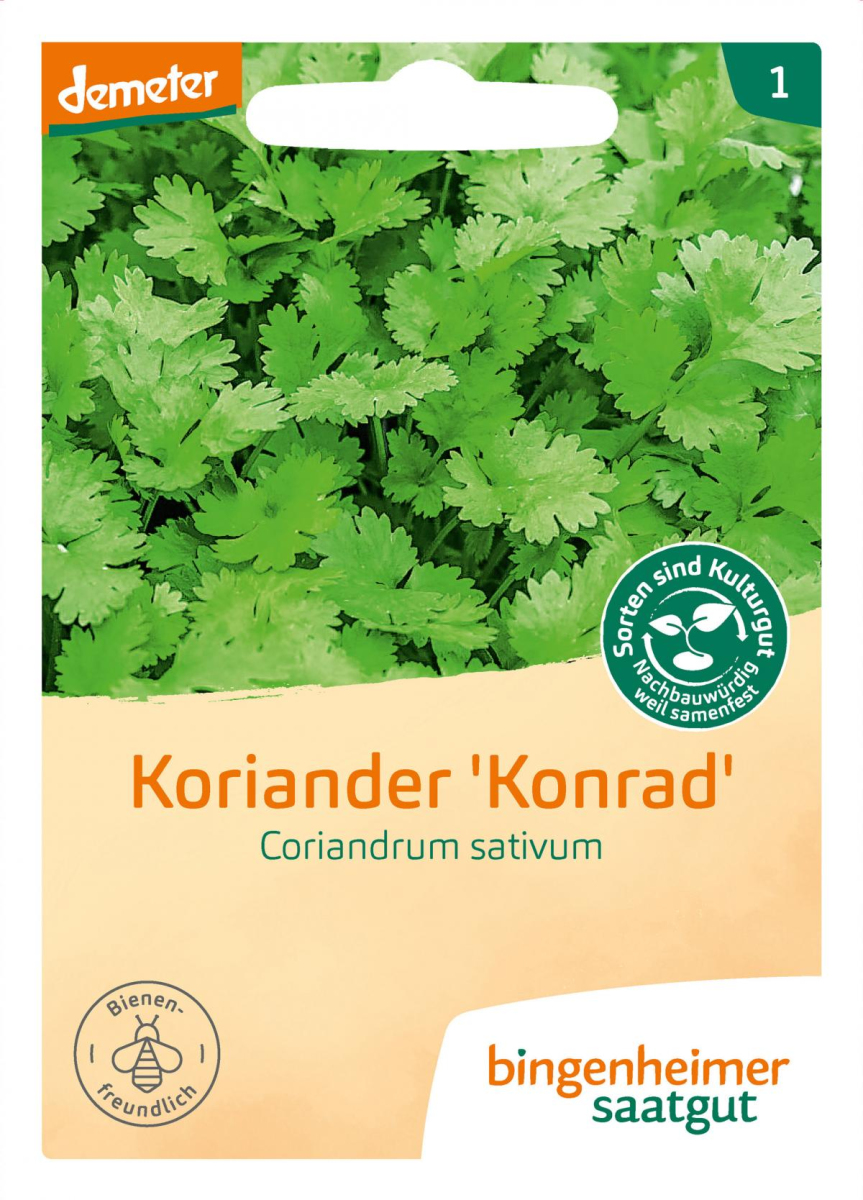Saat Koriander