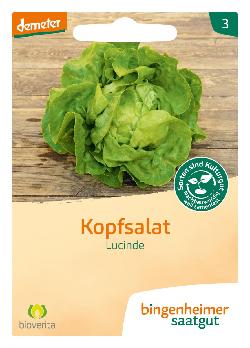 Saat Kopfsalat "Lucinde"