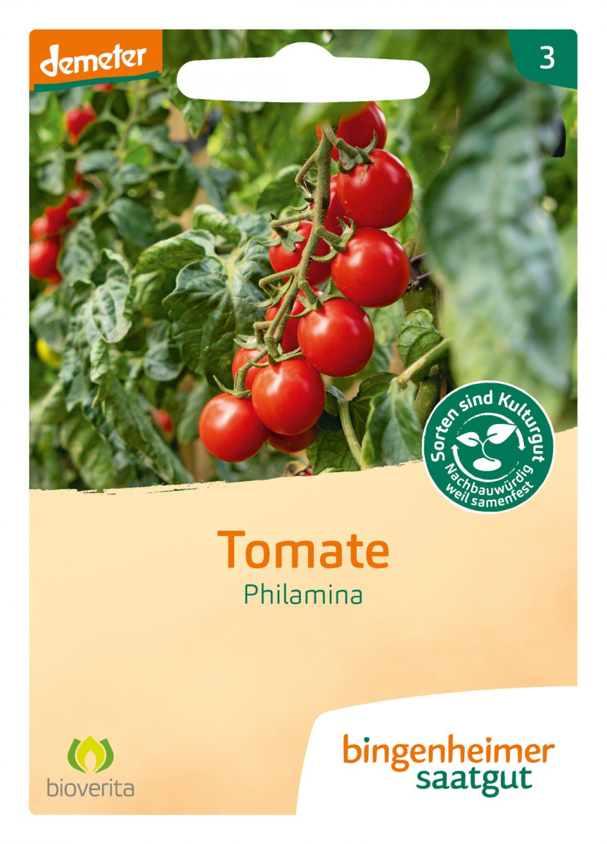 Saat Tomate "Philamina"