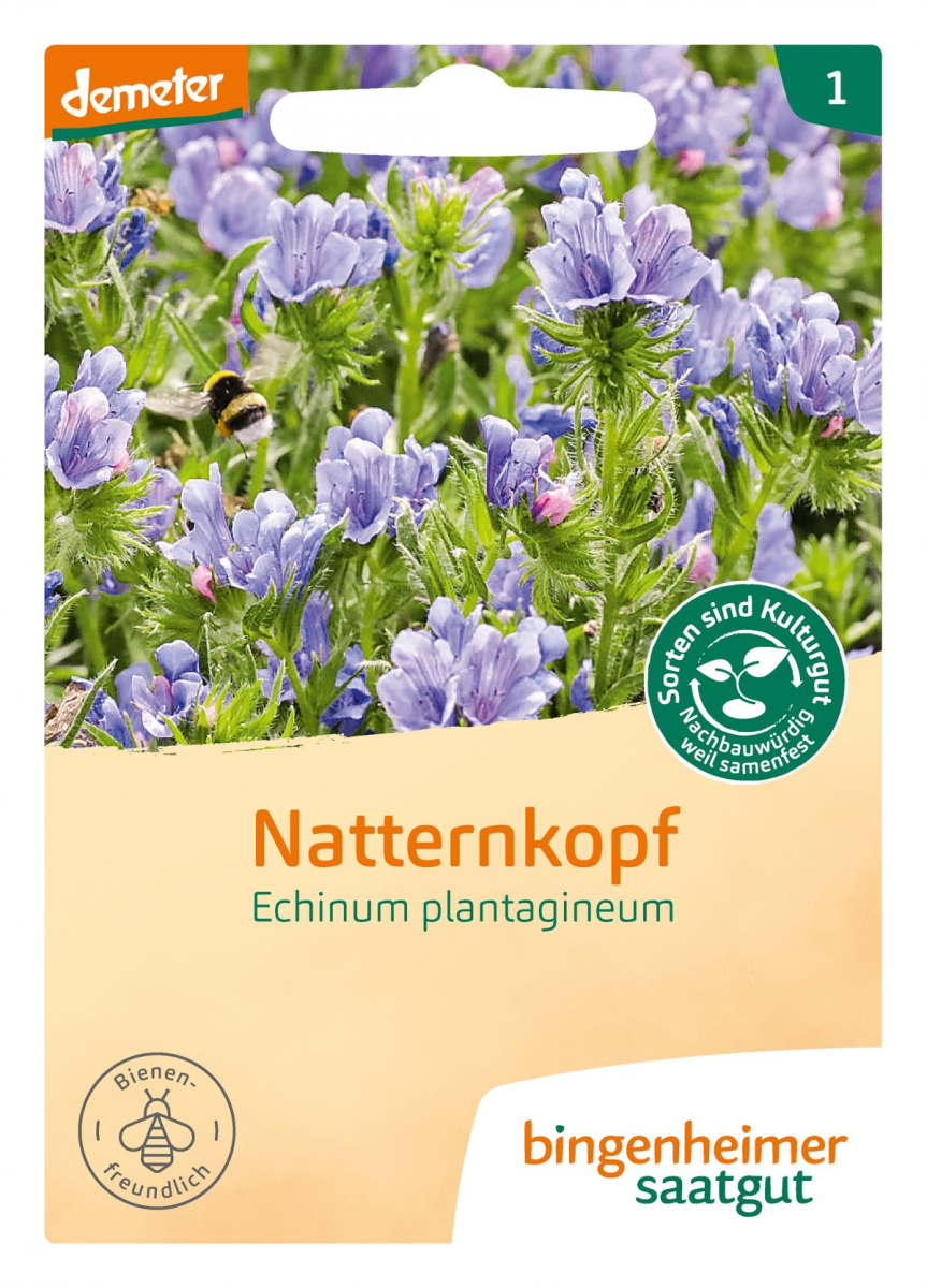 Saat Natternkopf