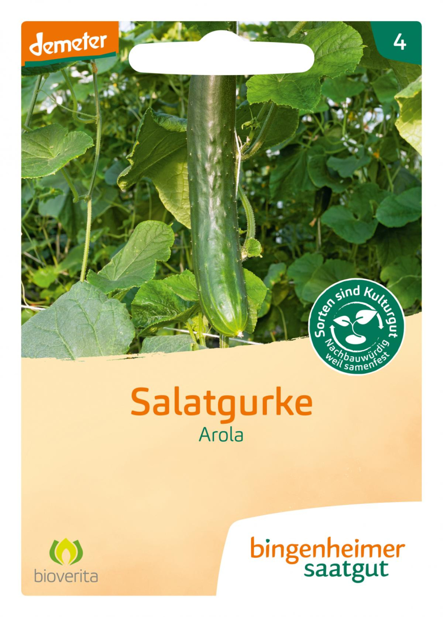 Saat Schlangengurke "Arola"